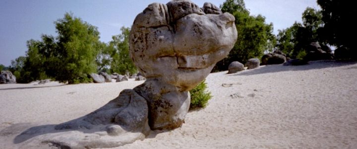 Annulation Sortie Fontainebleau Samedi 28 Septembre