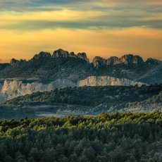 Sortie d’avril 2025 aux Dentelles Sortie d’avril 2025 aux Dentelles