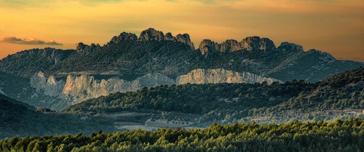Sortie d&rsquo;avril 2025 aux Dentelles