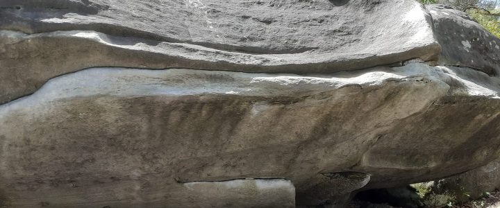 Inscriptions en ligne à la sortie Fontainebleau le 5 novembre