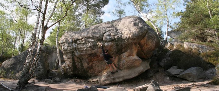 Sortie à Fontainebleau dimanche 28 mai