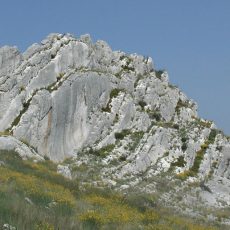 Séjour dans les Alpilles – Mars 2026 Séjour dans les Alpilles – Mars 2026