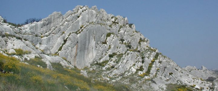 Séjour dans les Alpilles – Mars 2026