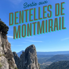 Retour sur la sortie aux Dentelles – avril 2025 Retour sur la sortie aux Dentelles – avril 2025