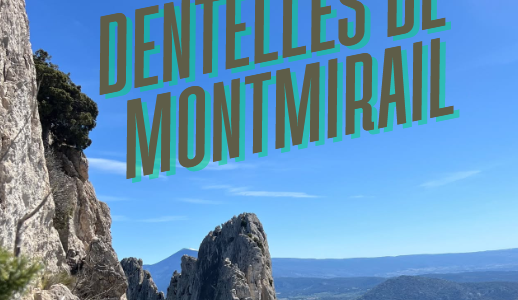 Retour sur la sortie aux Dentelles – avril 2025